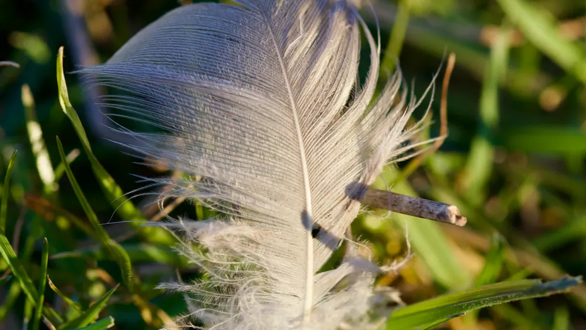 Natural Causes of Feather Loss