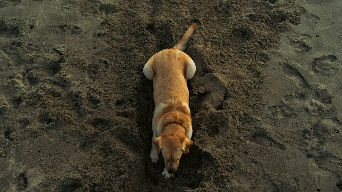 Dog Digging Behavior: What Drives This Habit