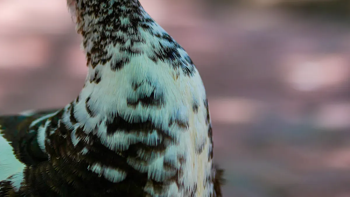 Bird Stress Signs: What to Watch Closely