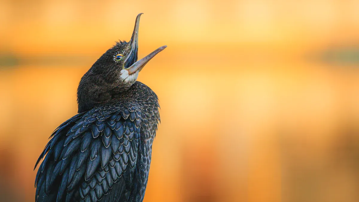 Bird Vocal Sounds Overview