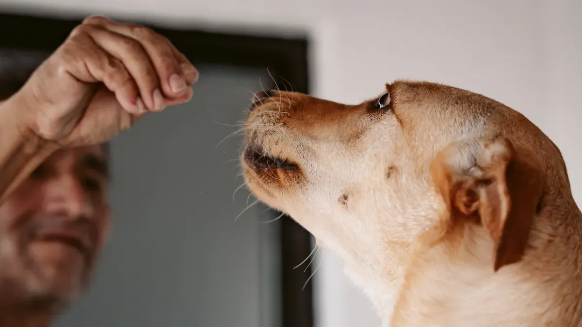 Positive Reinforcement Techniques