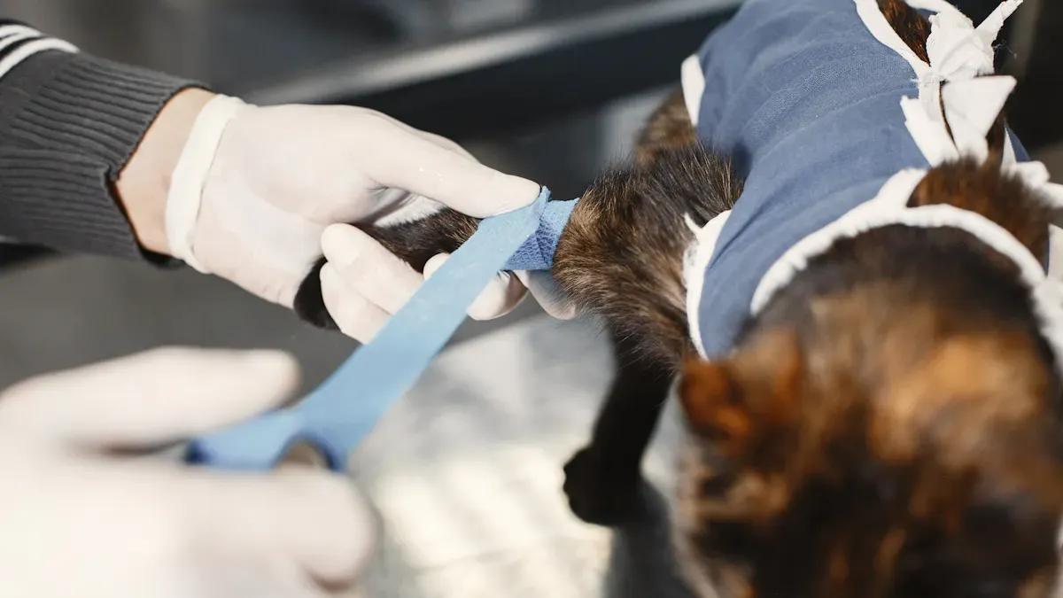 Medical Causes of Cat Weight Gain