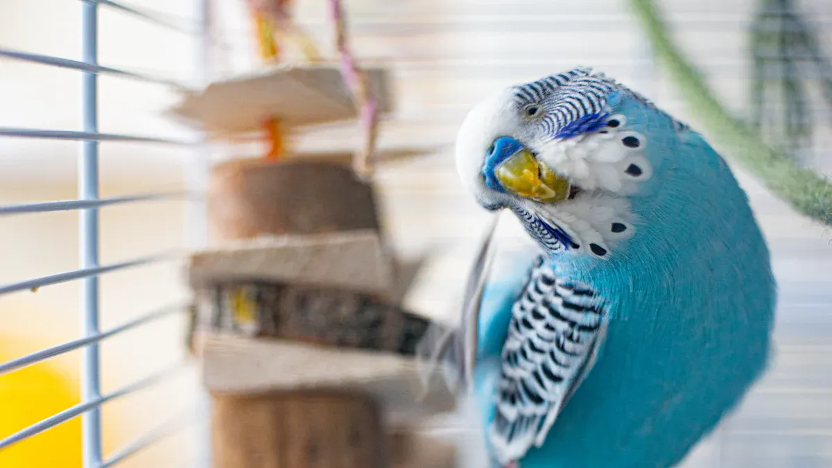 Behavioral Changes After Clipping Bird Wings