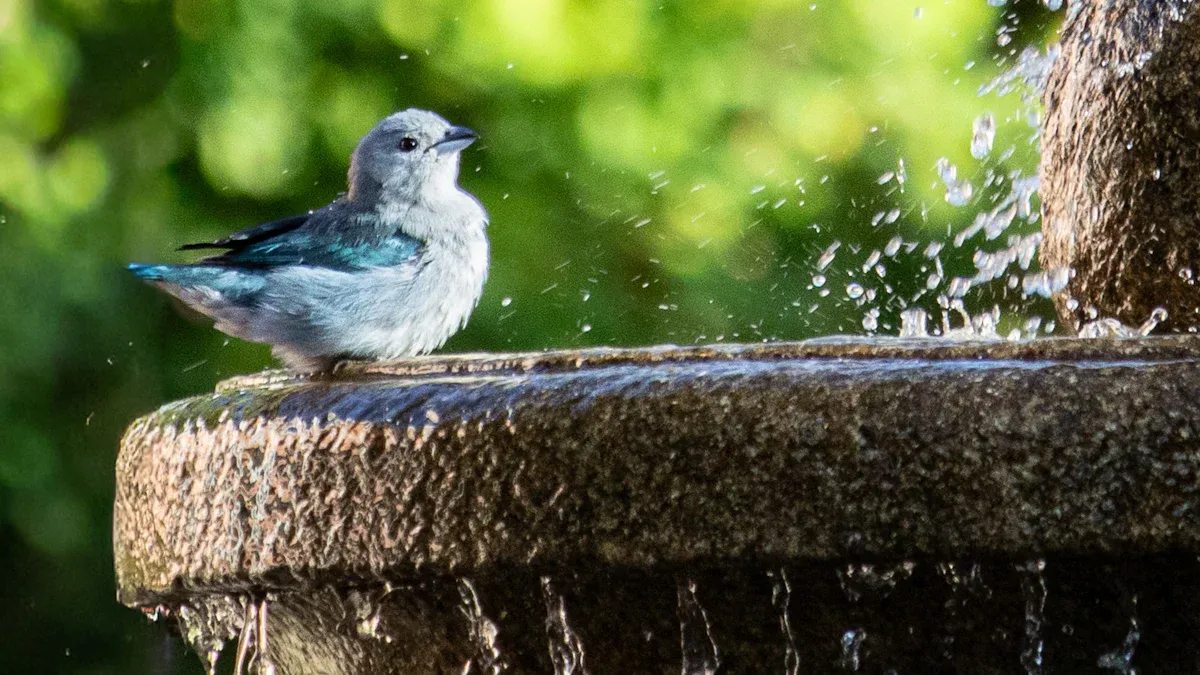 Bird Hydration Tips: 8 Ways to Keep Birds Healthy