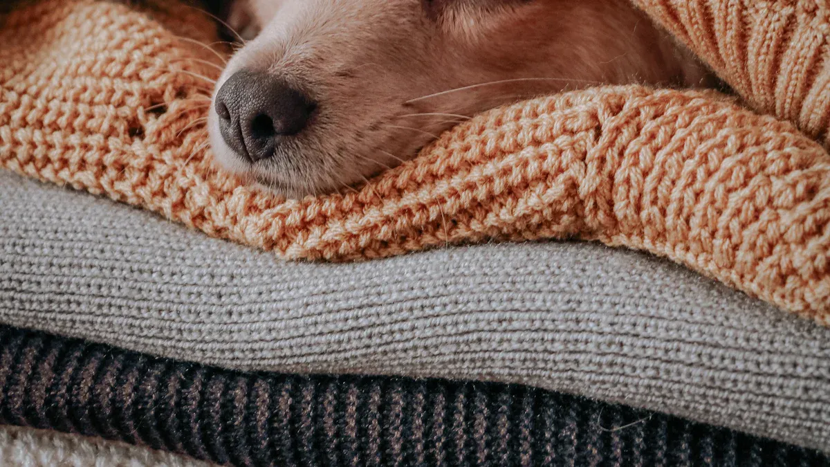 Dog Sleep Positions Meaning: What Each Pose Shows