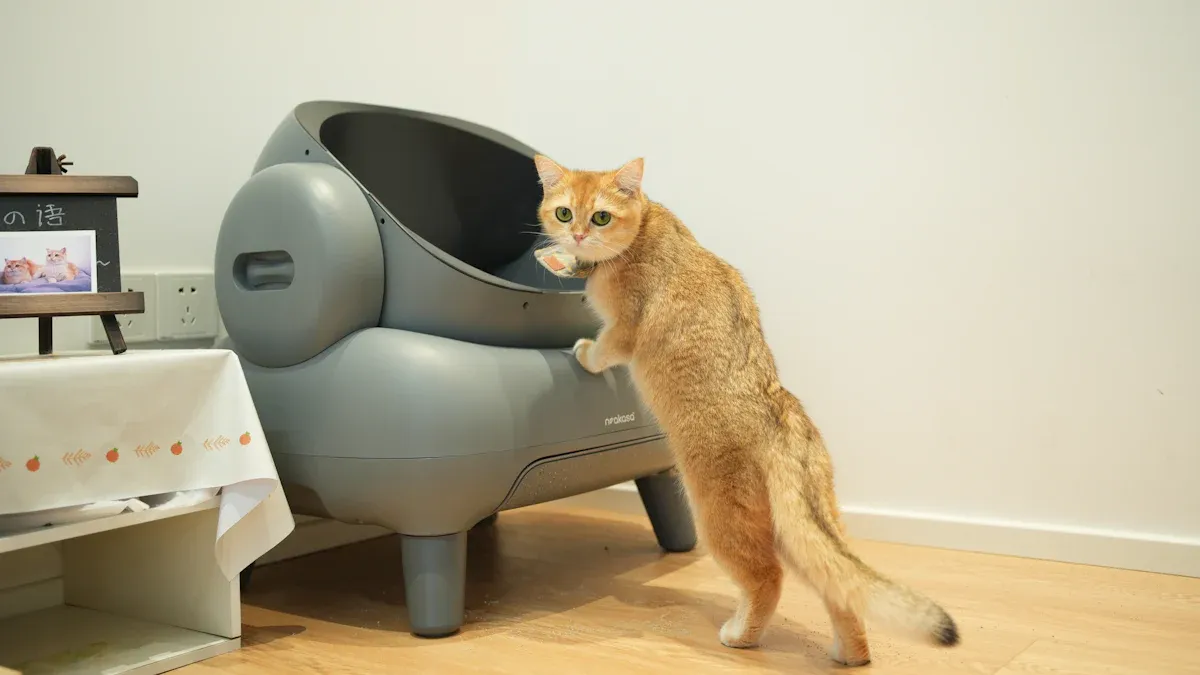 Importance of Cat Litter Box Types