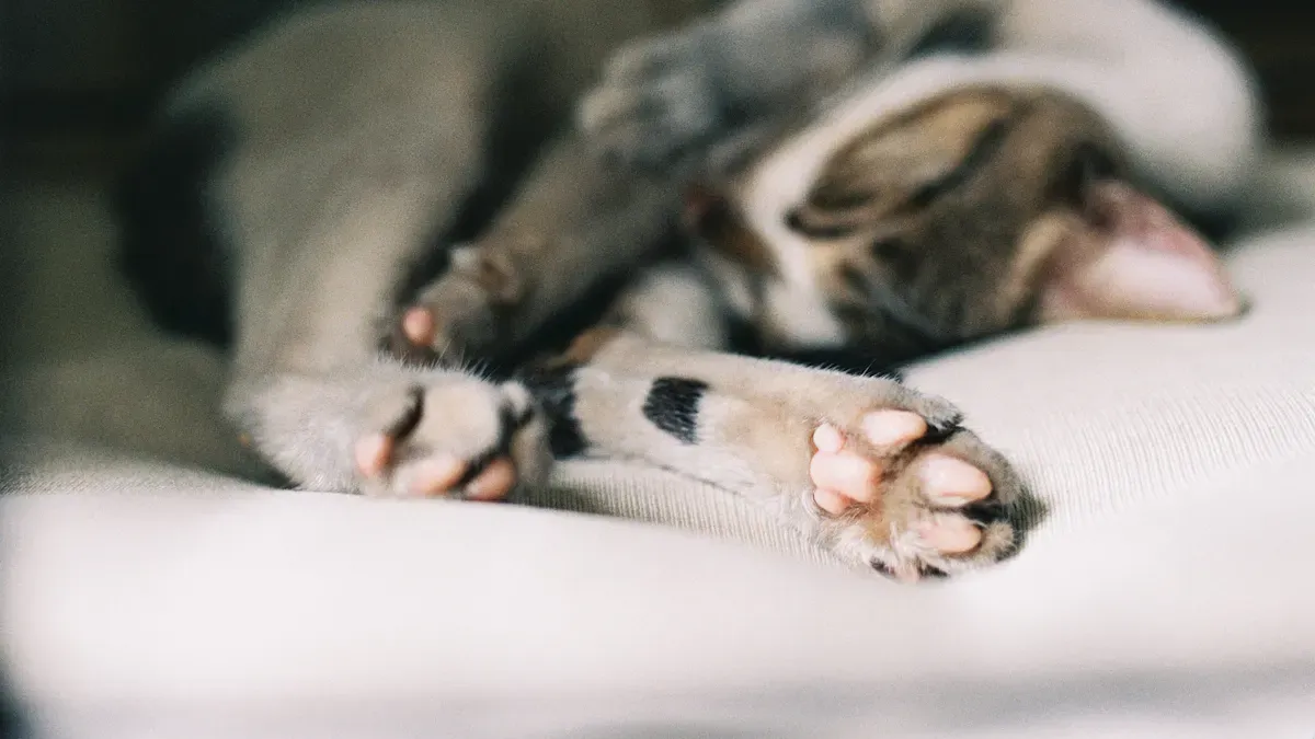 Loaf Position and Alertness