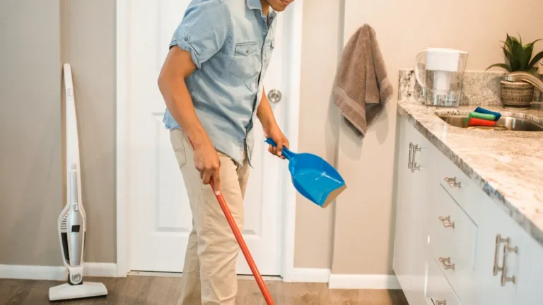 Cat Shedding Control: How to Reduce Fur Around Home