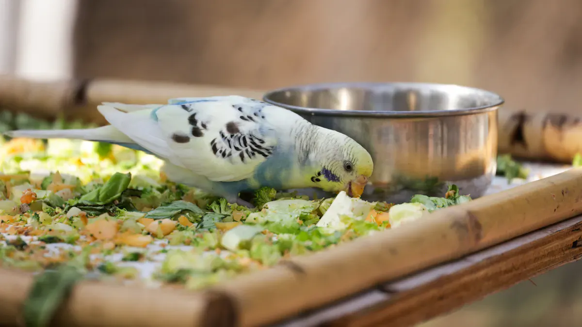 Causes of Not Eating