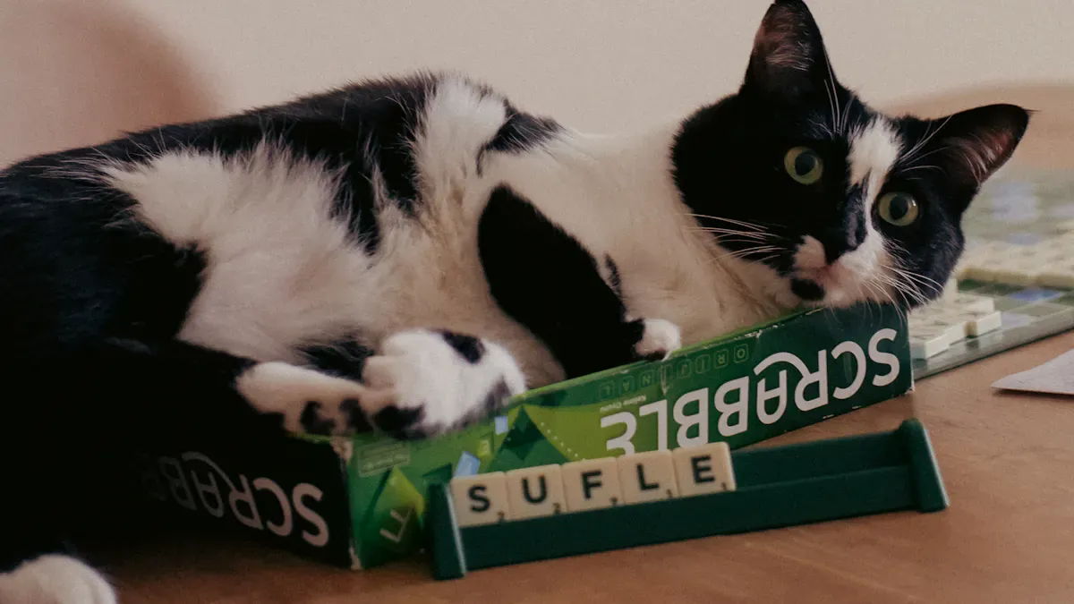 Indoor Cat Exercise: Ways to Keep Your Cat Active