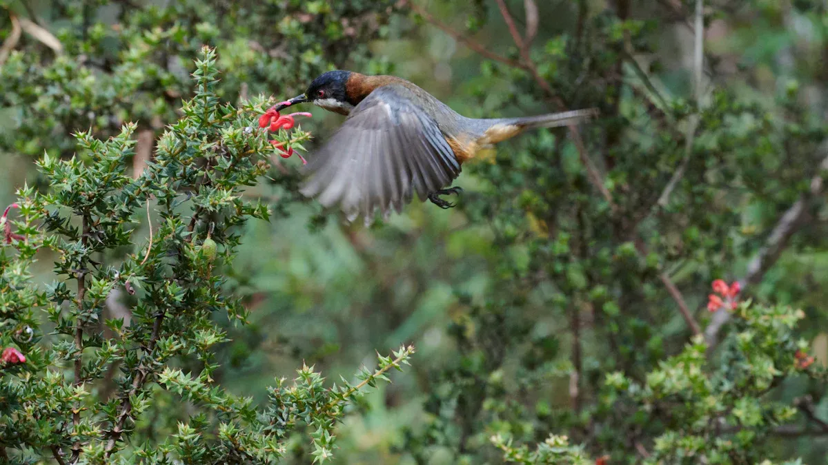 Physical Effects of Wing Clipping