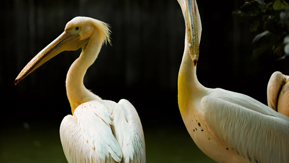 Causes of Stress in Birds