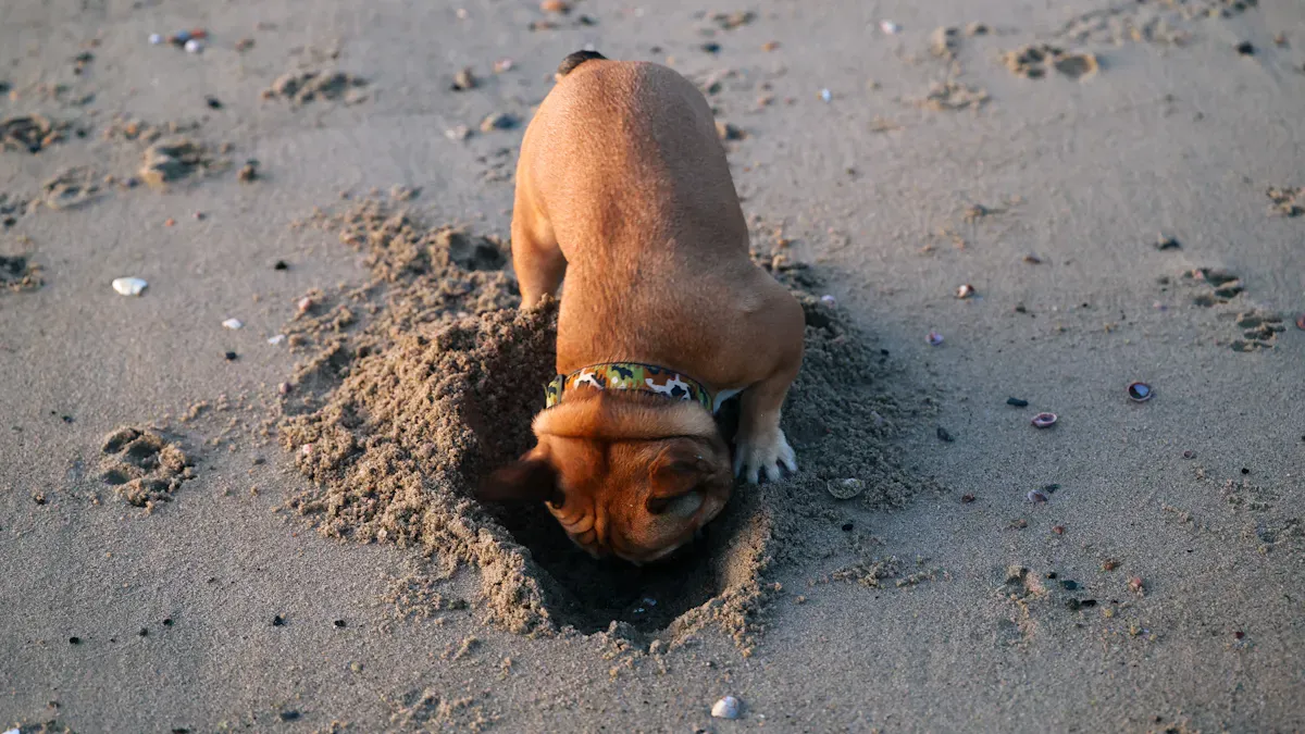 Emotional Needs and Digging Behavior